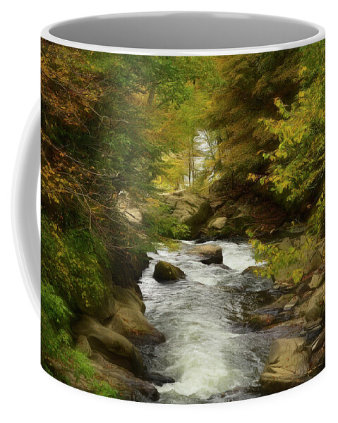 Scenic Coffee Mug featuring the photograph Babbling Brook In The Woods by Kathy Baccari