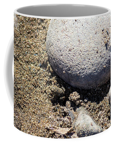 Toad Coffee Mug featuring the photograph Baby Animals - Toad by Amelia Pearn