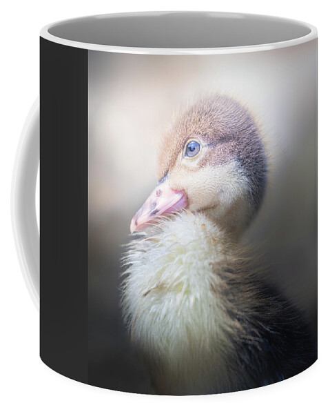 Brown Duckling Coffee Mug featuring the photograph Baby Duckling Portrait Pose by Jordan Hill