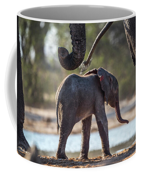 Africa Coffee Mug featuring the photograph Baby Elephant by Bill Cubitt