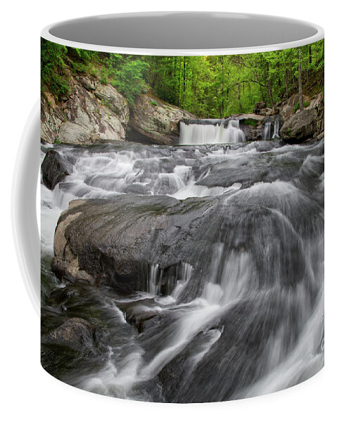 Baby Falls Coffee Mug featuring the photograph Baby Falls 19 by Phil Perkins