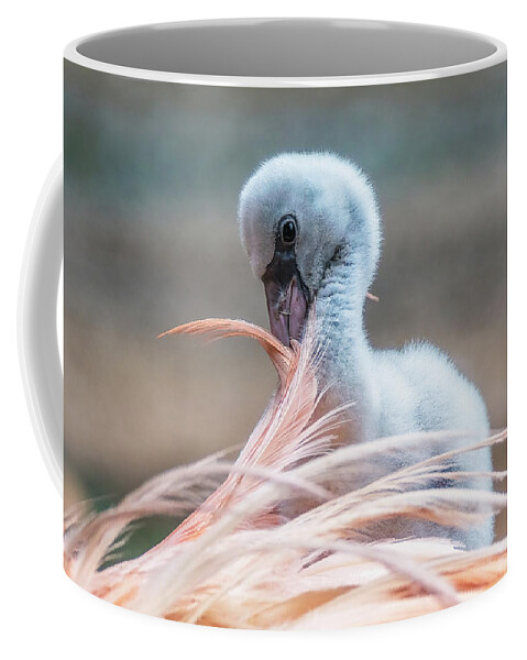 Aiken Sc Coffee Mug featuring the photograph Baby Flamingo 14 Days Old 5 by Steve Rich