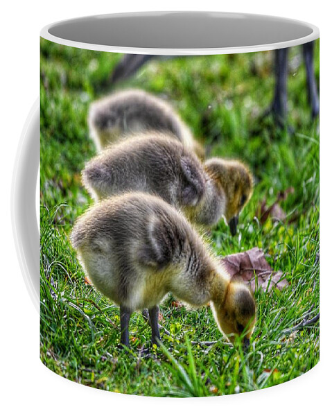 Photo Coffee Mug featuring the photograph Baby Geese by Evan Foster