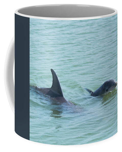 Dolphin Coffee Mug featuring the photograph Baby Joy by Patricia Schaefer