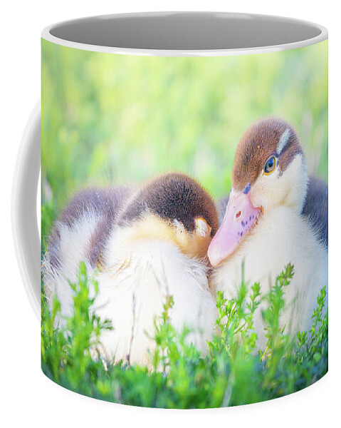 Napping Coffee Mug featuring the photograph Baby Snuggle Ducklings by Jordan Hill