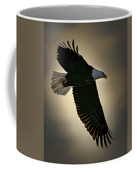 Eagle Coffee Mug featuring the photograph Backlit by Laura Hedien