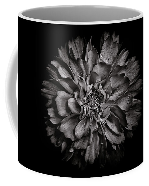 Brian Carson Coffee Mug featuring the photograph Backyard Flowers In Black And White 79 by Brian Carson