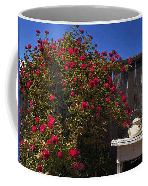 Landscape Coffee Mug featuring the photograph Backyard Inspiration by Richard Thomas