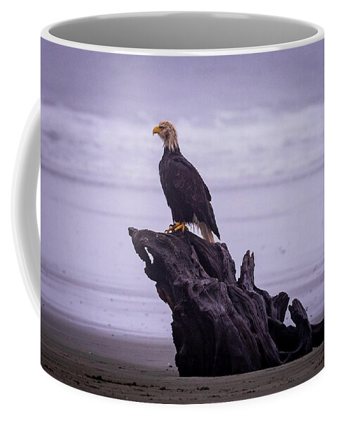Bald Eagle Coffee Mug featuring the photograph Bad Hair Day by Stephen Sloan
