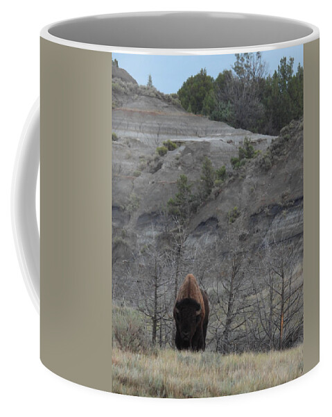 Bison Coffee Mug featuring the photograph Badlands Bull by Amanda R Wright