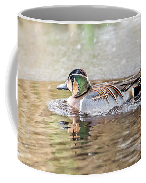 Baikal Teal Coffee Mug featuring the photograph Baikal Teal, a beautiful and rare visitor in Sweden by Torbjorn Swenelius