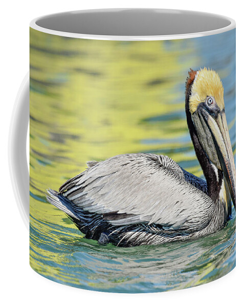 Brown Coffee Mug featuring the photograph Bait Stand Reflections Too by Christopher Rice