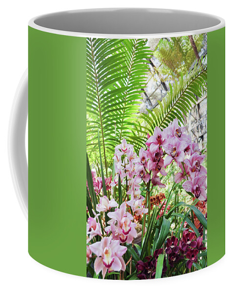 Balboa Park Coffee Mug featuring the photograph Balboa Park Pink Orchids by Kyle Hanson