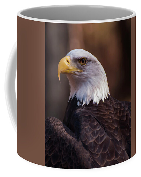 Bald Eagle Coffee Mug featuring the photograph Bald Eagle 2 by Flees Photos