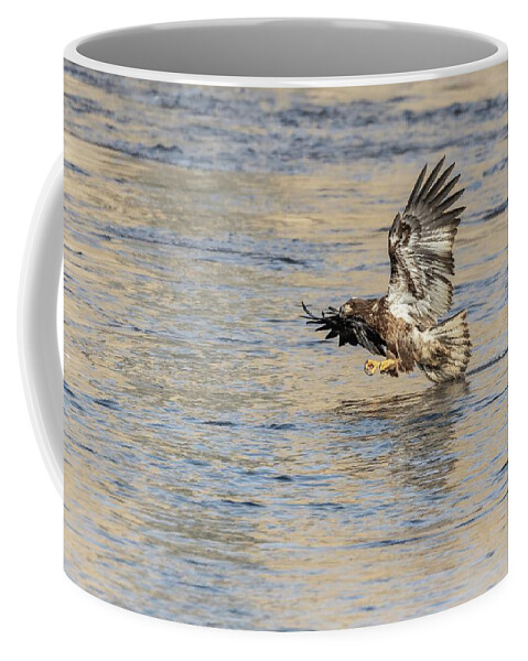 American Bald Eagle Coffee Mug featuring the photograph Bald Eagle 2019-20 by Thomas Young