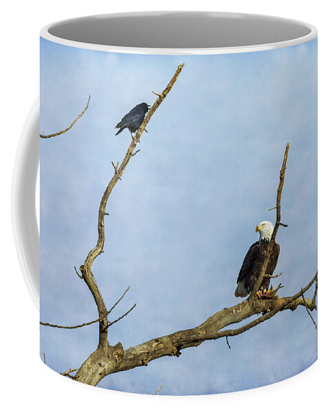 Fish Coffee Mug featuring the photograph Bald Eagle and the Crow by James BO Insogna