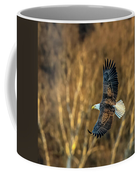 Bald Eagle Coffee Mug featuring the photograph Bald Eagle in its glory by Brian Shoemaker