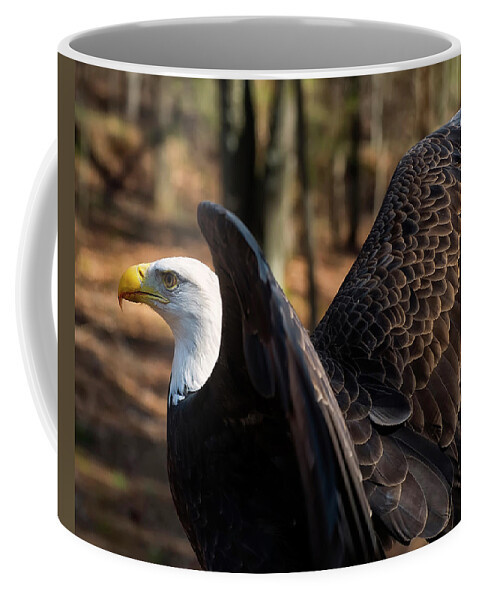 Bald Eagle Coffee Mug featuring the photograph Bald eagle preparing for flight by Flees Photos