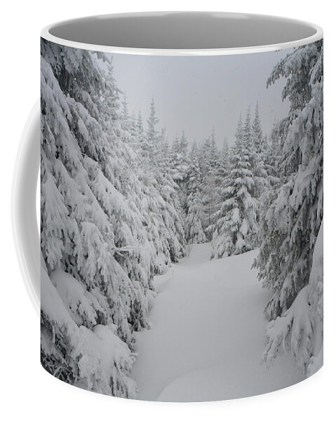 Balsam Furs Covered In Snow Coffee Mug featuring the photograph Balsam Furs Covered in Snow by Raymond Salani III