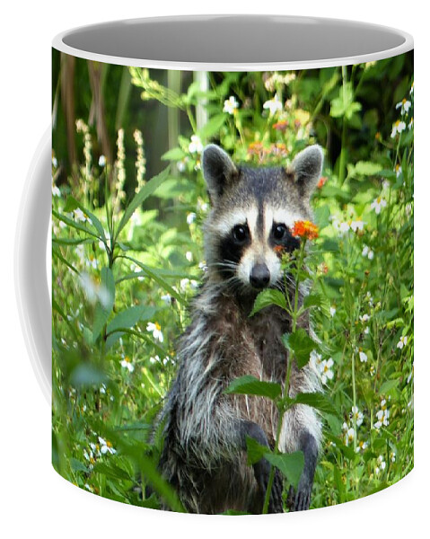 New Orleans Coffee Mug featuring the photograph Bandit In A Bed Of Daisies by Rosanne Licciardi