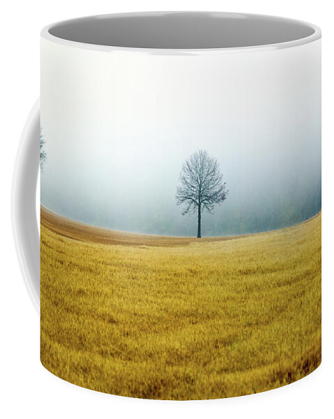 Winter Coffee Mug featuring the photograph Bare Trees on Golden Grass by WAZgriffin Digital