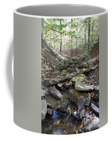 Wall Art Coffee Mug featuring the photograph Bark Rocks 1 by Chris Naggy