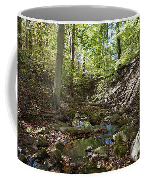 Landscape Coffee Mug featuring the photograph Bark Rocks 2 by Chris Naggy
