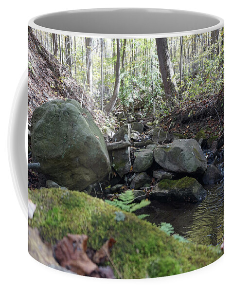 Fall Foliage Coffee Mug featuring the photograph Bark Rocks 3 by Chris Naggy