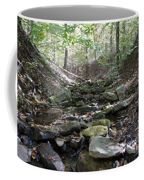 Fall Foliage Coffee Mug featuring the photograph Bark Rocks 6 by Chris Naggy