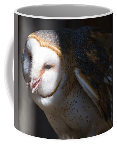 Barn Owl Coffee Mug featuring the photograph Barn Owl 1 by Flees Photos