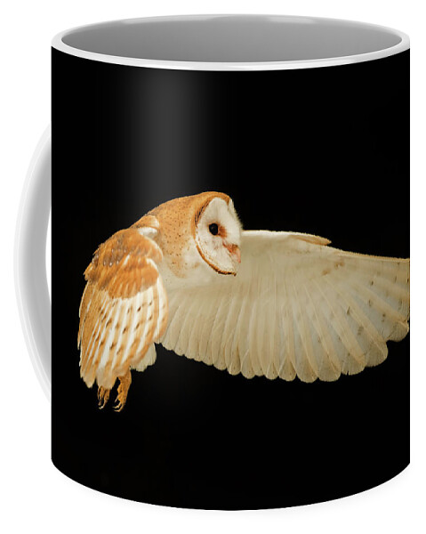 Barn Owl Coffee Mug featuring the photograph Barn Owl In Flight by CR Courson