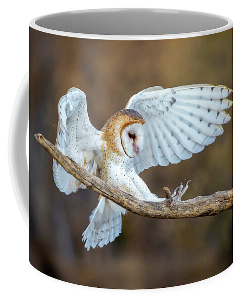 Barn Owl Coffee Mug featuring the photograph Barn Owl Landing #2 by Judi Dressler