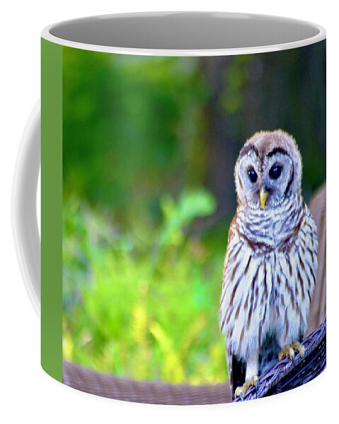 Barred Owl Beauty Coffee Mug featuring the photograph Barred Owl Beauty by Warren Thompson