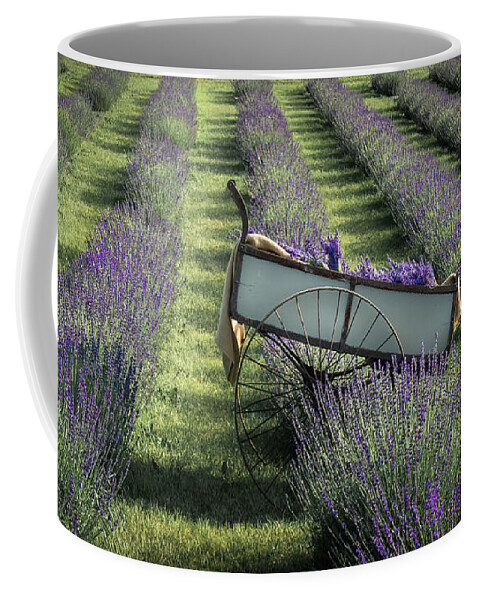 Lavender Coffee Mug featuring the photograph Barrel of Lavender by Sylvia Goldkranz