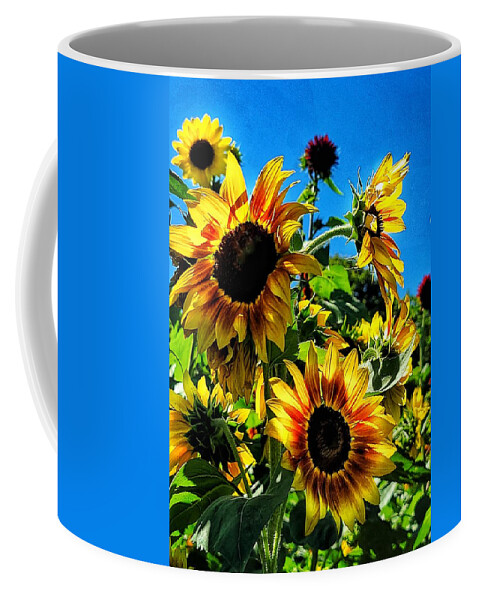 Sunflower Coffee Mug featuring the photograph Basking by Terry Ann Morris