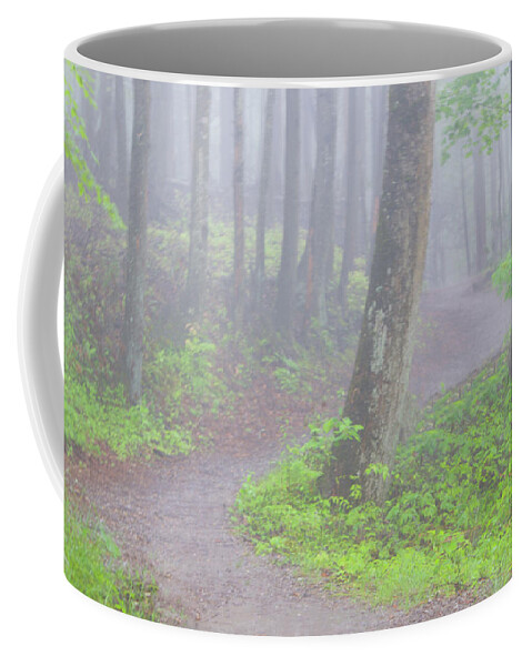 Art Prints Coffee Mug featuring the photograph Baskins Creek Trail by Nunweiler Photography