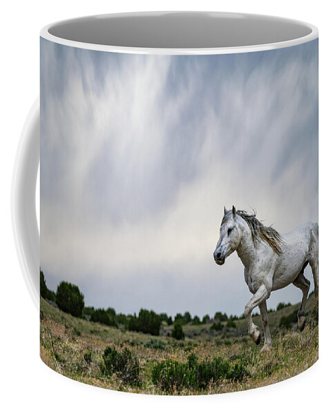 Wild Horse Coffee Mug featuring the photograph Be the Thunder by Mary Hone