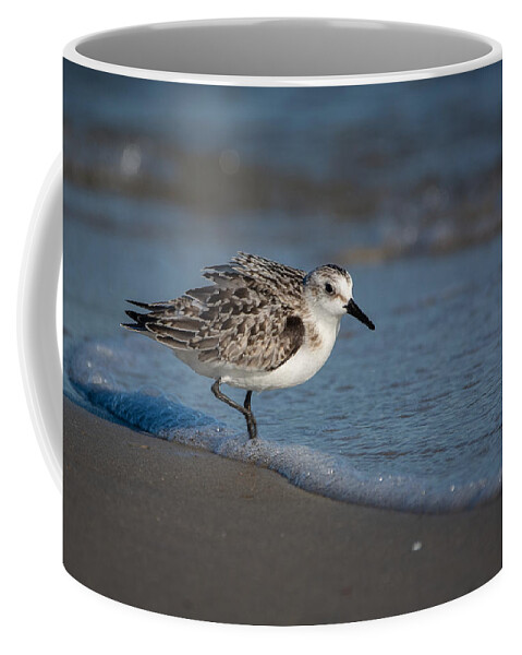 Bird Coffee Mug featuring the photograph Beach Bully by Linda Bonaccorsi