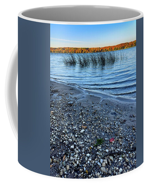 Tahquamenon Falls Coffee Mug featuring the photograph Beach Colors IMG_5851 by Michael Thomas