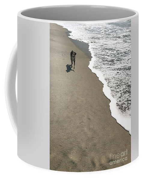 Dog Coffee Mug featuring the photograph Beach Dog by Diana Rajala