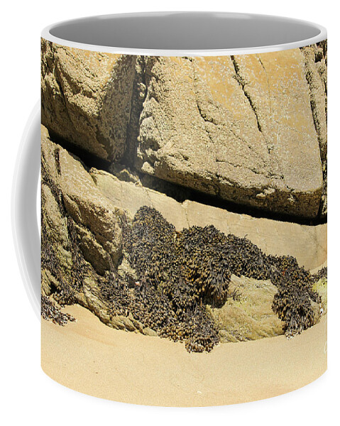 Wild Atlantic Way Coffee Mug featuring the photograph Beach Rock Seaweed Rathmullan by Eddie Barron