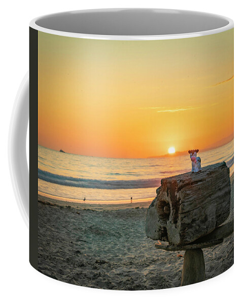 Sunset Coffee Mug featuring the photograph Beach Sunset with Cows by Lindsay Thomson