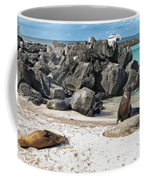 Animals In The Wild Coffee Mug featuring the photograph Beach with sea lions - Espanola island - Galapagos by Henri Leduc