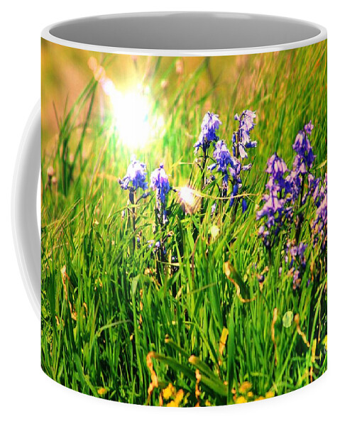 Bluebells Coffee Mug featuring the photograph Beams On Bluebells by Kimberly Furey