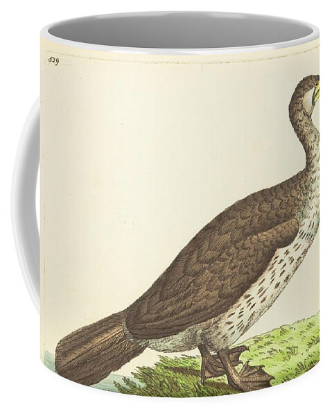 Ducks Coffee Mug featuring the mixed media Beautiful antique waterfowl by World Art Collective