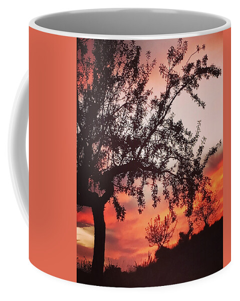 Colette Coffee Mug featuring the photograph Beautiful evening in Spain by Colette V Hera Guggenheim