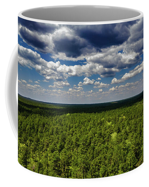 Franklin Parker Preserve Coffee Mug featuring the photograph Beautiful Pine Barrens Landscape by Louis Dallara