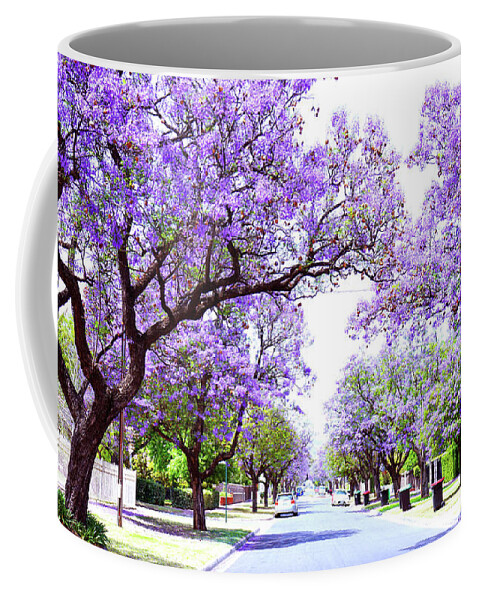 Jacaranda Coffee Mug featuring the photograph Beautiful purple flower Jacaranda tree lined street in full bloom. by Milleflore Images