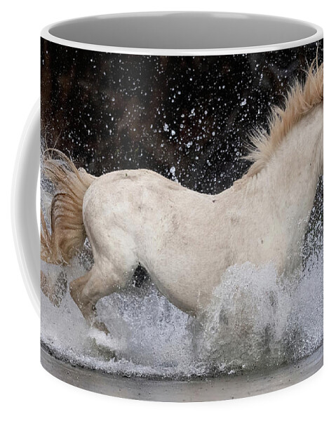 Stallion Coffee Mug featuring the photograph Beautiful Stallion. by Paul Martin