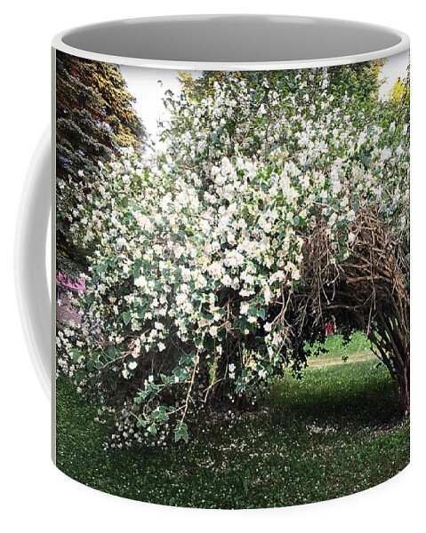 Beauty In Nature Coffee Mug featuring the photograph beauty in Nature by Harsh Malik